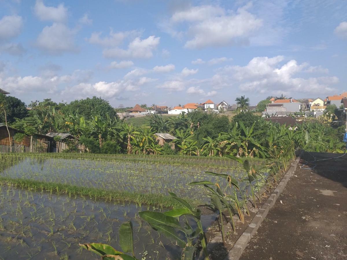 Pd Bali Guesthouse Canggu Exteriér fotografie