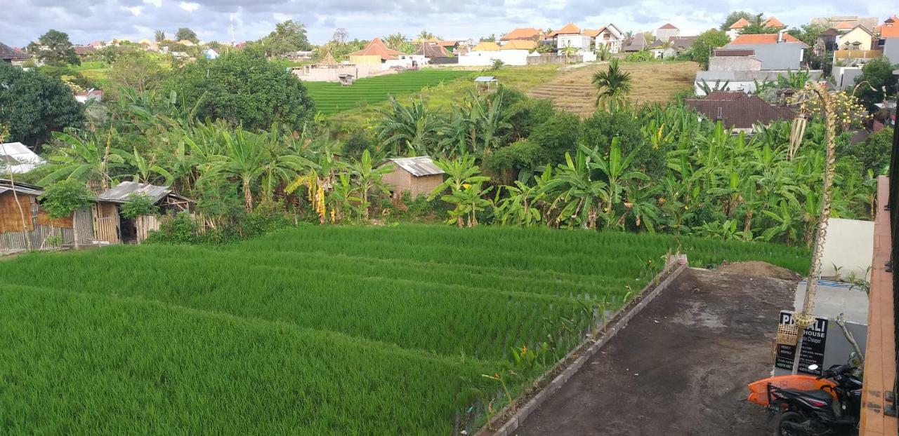 Pd Bali Guesthouse Canggu Exteriér fotografie